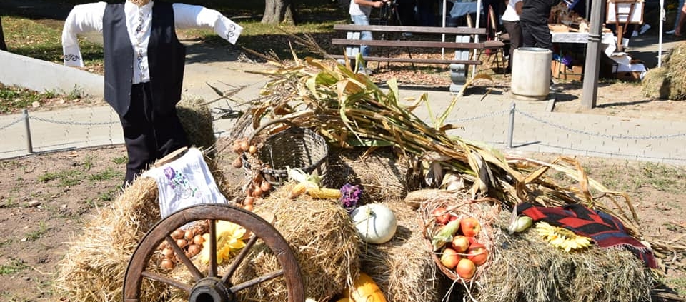 ПЛОДОВИ СЕЛА, 11. СЕПТЕМБРА У ГРАДСКОМ ПАРКУ У ТЕСЛИЋУ 1