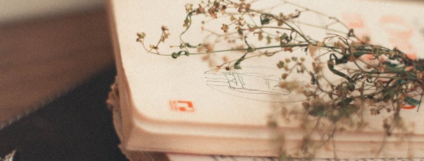 DAN POEZIJE NA OTVORENOM 1