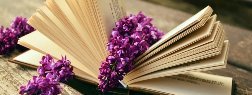 VEČE POEZIJE, VINA I GITARE 3