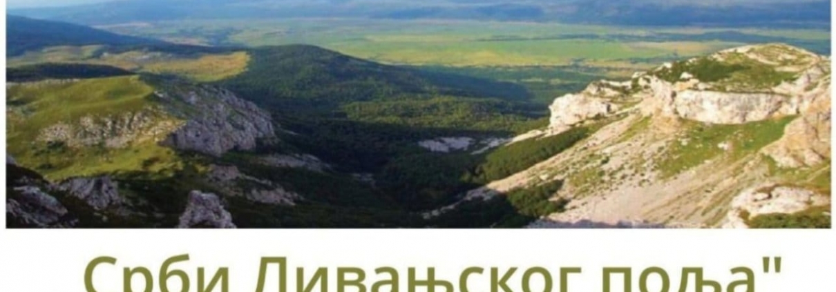 ОГЊЕНА МАРИЈА ЛИВАЊСКА - ПОЗИВ НА ИЗЛОЖБУ 1