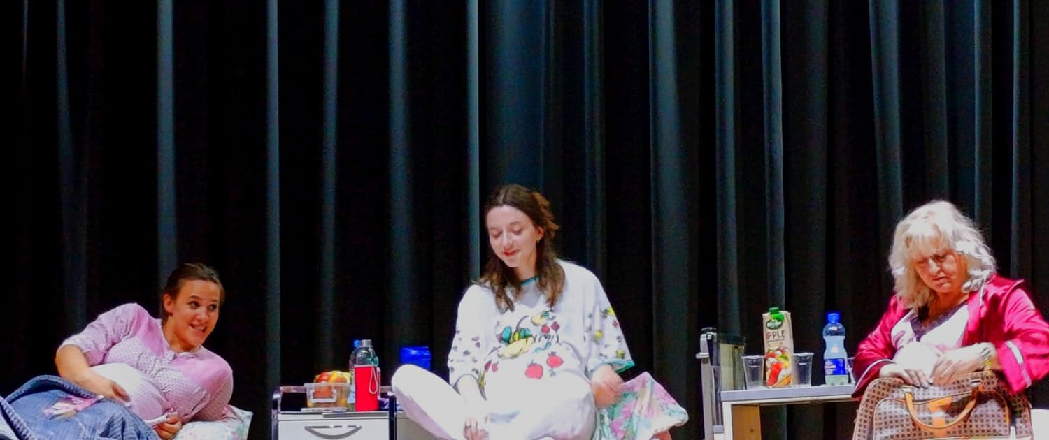 ПРЕДСТАВА ,,ДЕВЕТИ МЈЕСЕЦ" У ТЕСЛИЋУ 4