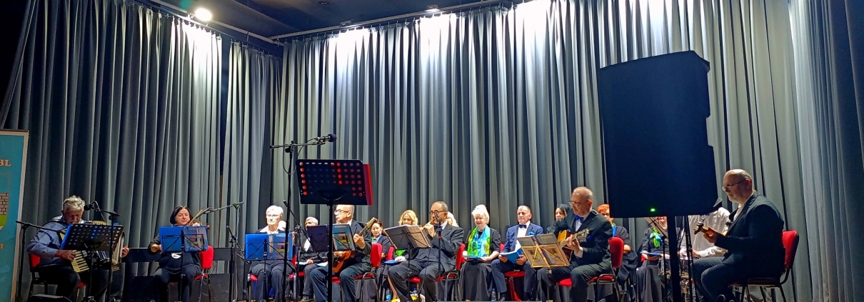 Muzičko veče u Tesliću 1